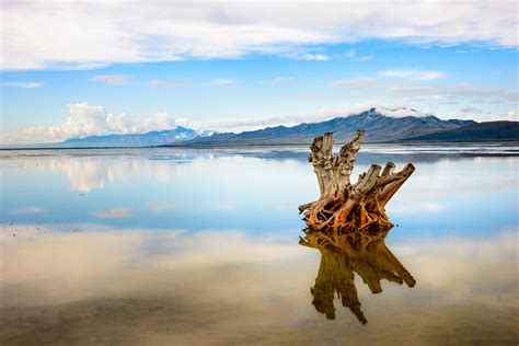 dog fishing|Fishing near Salt Lake City: 6 Great Spots for 2025 .